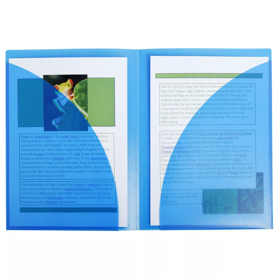 Presentation Files dble Pocket PP...