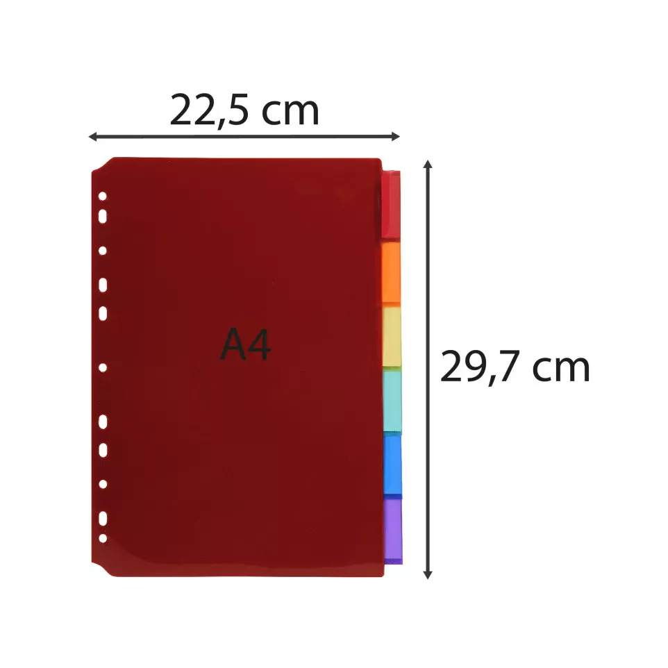 Tabbladen PP A4 6 tabs personalis.-/ St.
