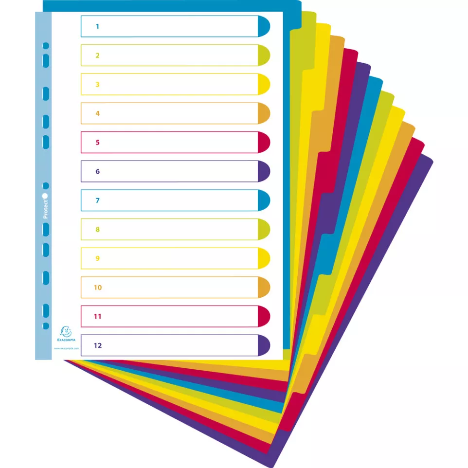 Dividers Campus PP A4+ 12 Part/ Pc.