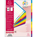 Tabbladen PP A4+ 12 tabs CAMPUS-/ St.
