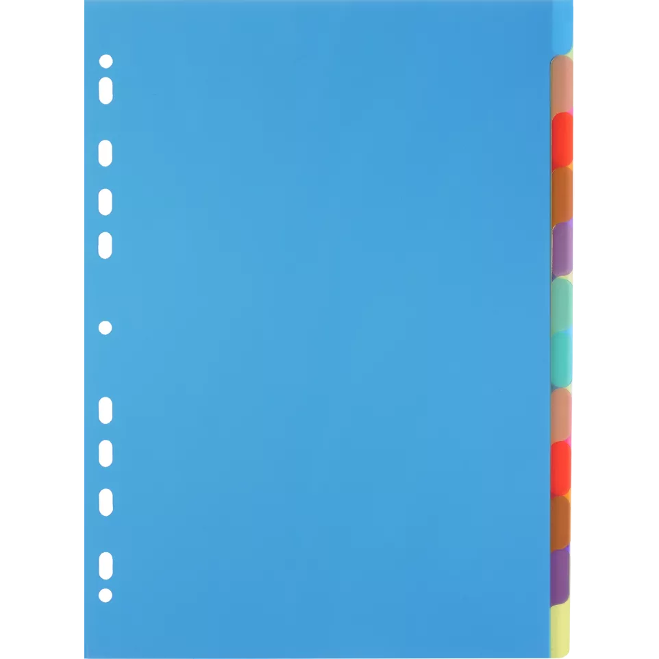 Tabbladen PP Chromaline A4 12 tabs-/ St.