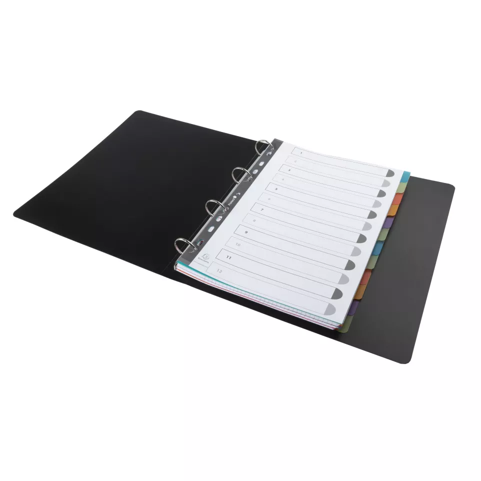 Tabbladen PP Chromaline A4 12 tabs-/ St.