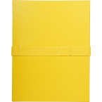 Expanding spine folder with...