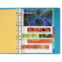 Tabbladen glanskarto-n 225g A4+12 tabs/ St.