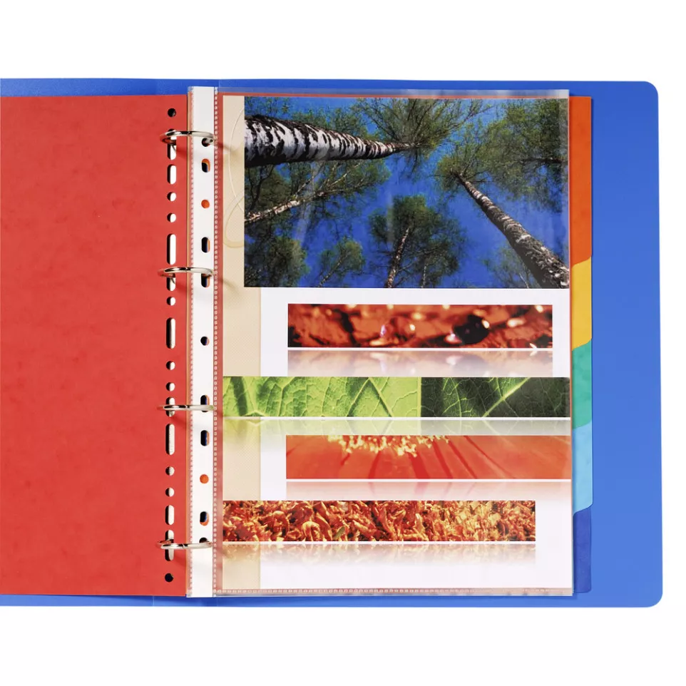 Intercalaires carte lustrée 225g 6...