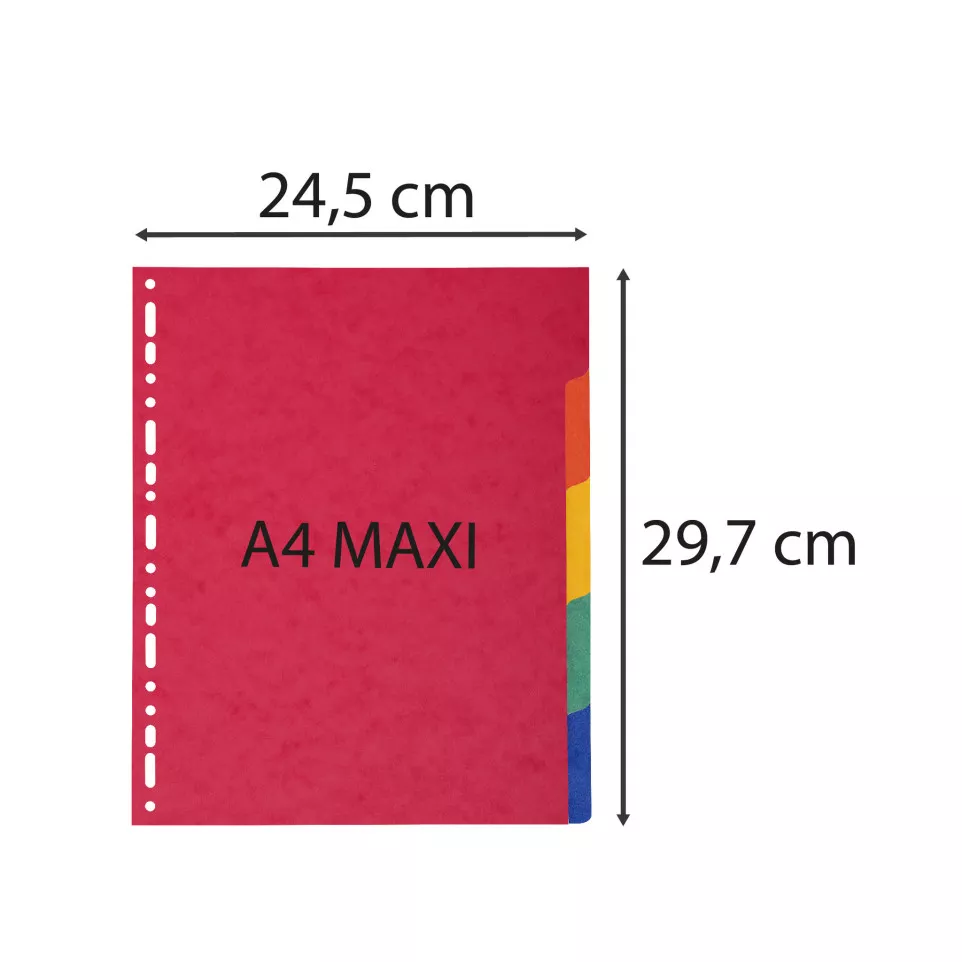 Tabbladen glanskarto-n 225g A4+  5...