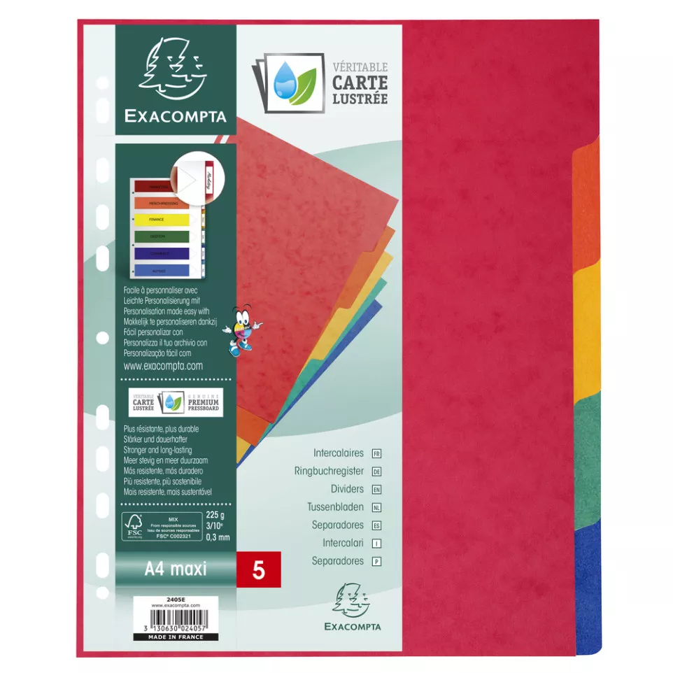 Tabbladen glanskarto-n 225g A4+  5...