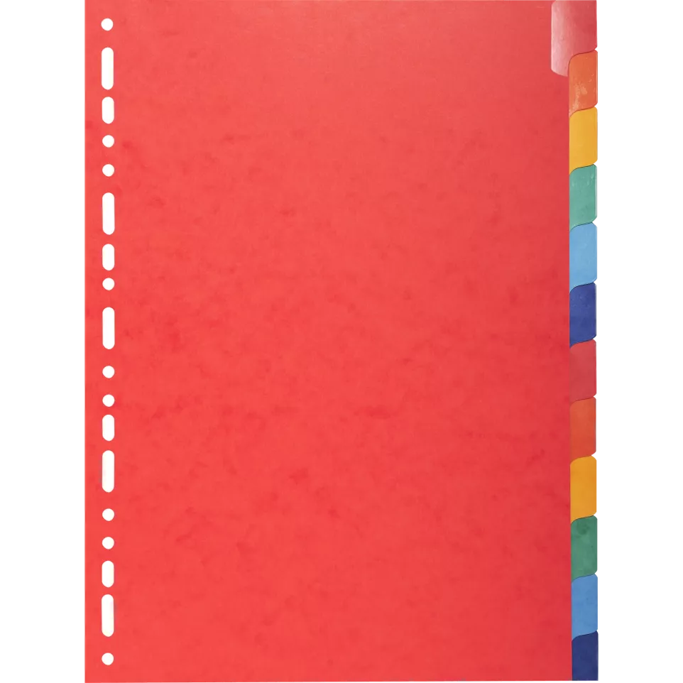 Intercalaires Carte lustrée 225g avec...