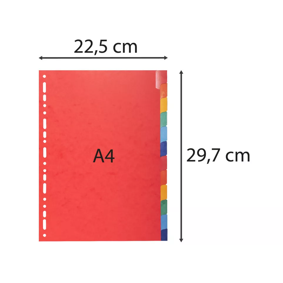 Divider Pressbd A4 225g 12P ColouRed/...