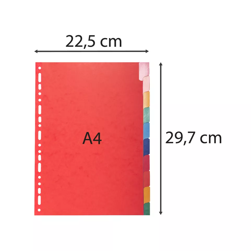 Exacompta - 10 Pre-Punched Dividers -...