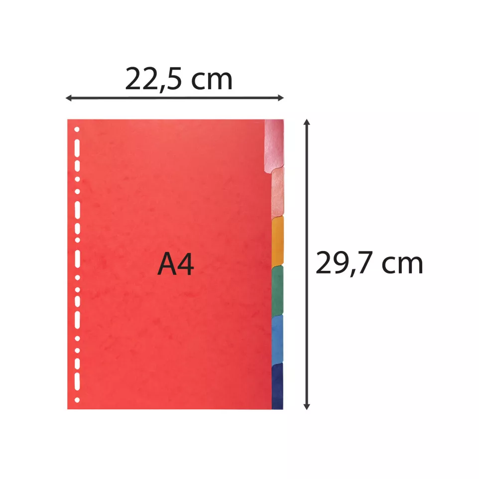 Intercalaires Carte lustrée 225g avec...