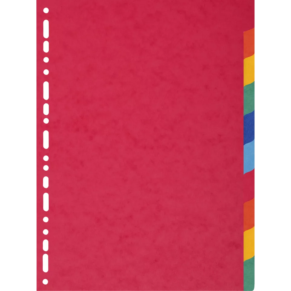 Div Forever Divider A4+ 220g 10P...