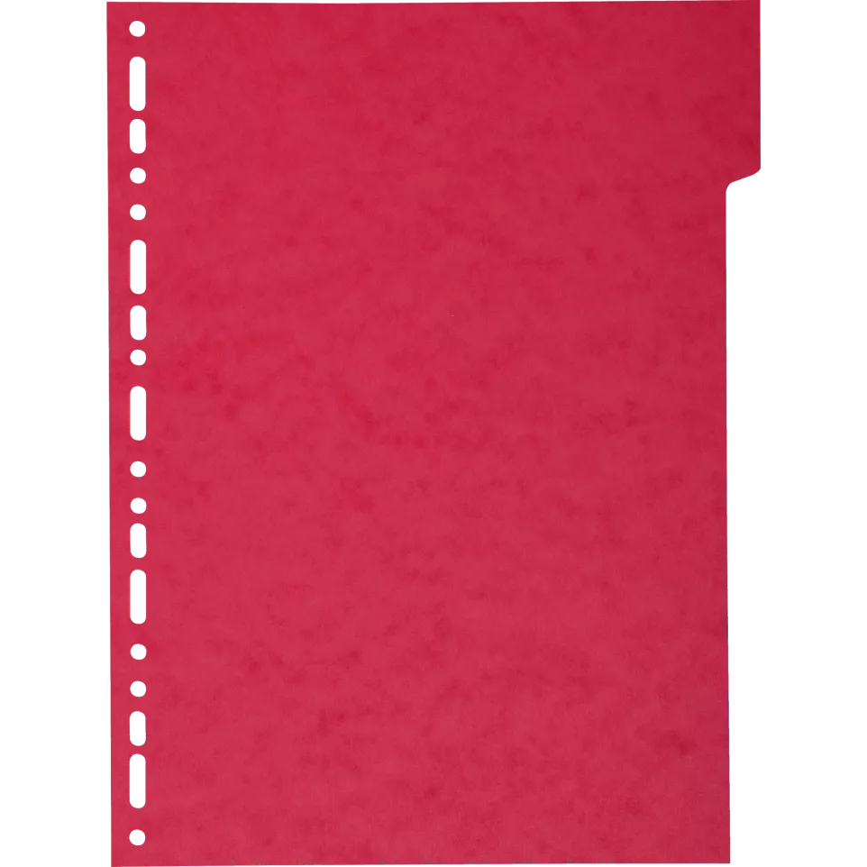 Div Forever Divider A4+ 220g 5P...