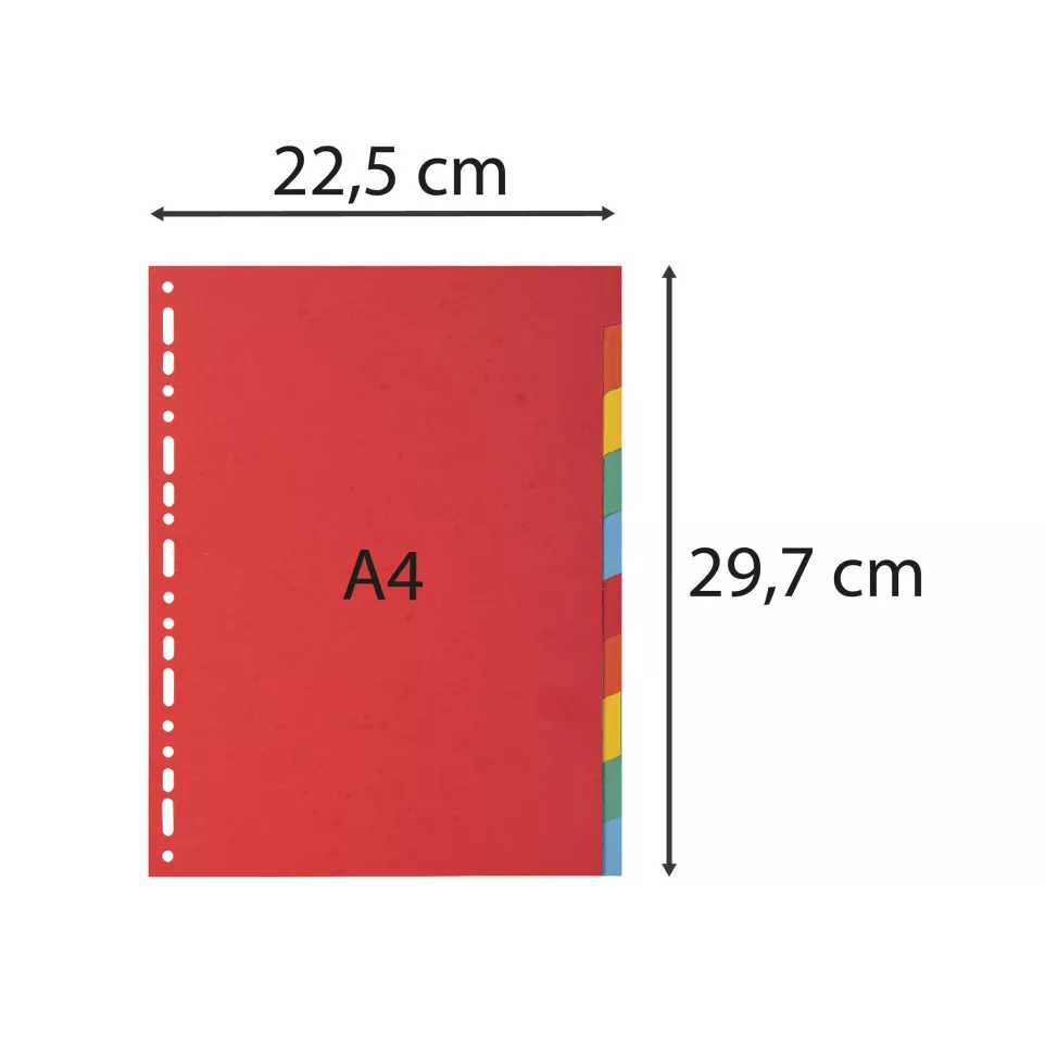Divider A4 220g 10P Bright/ Pc.