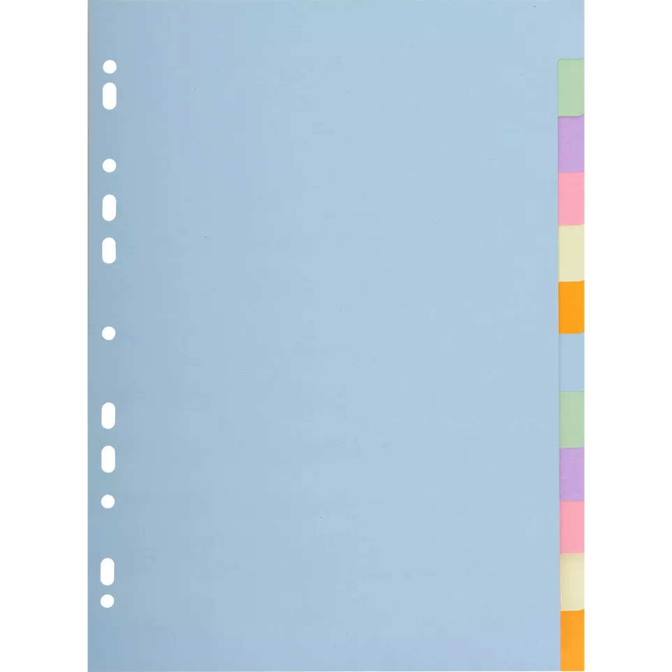 Intercalaires carte pastel 170g...