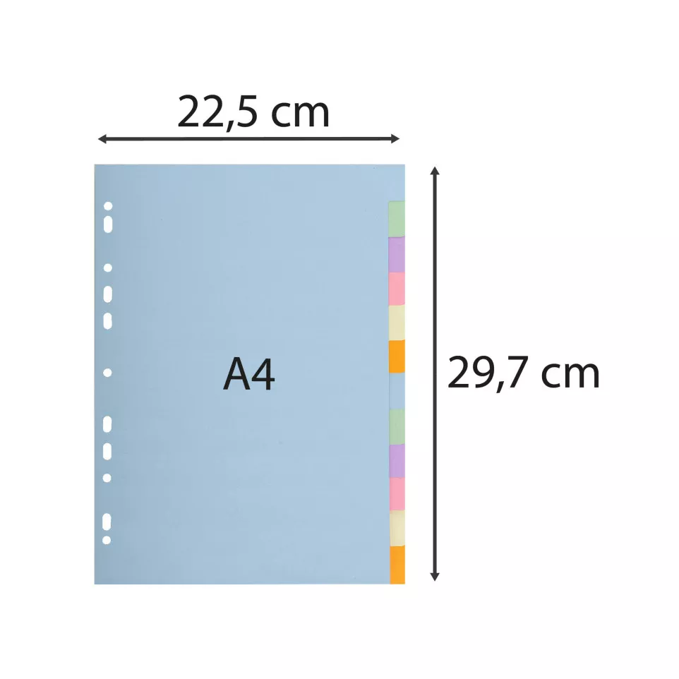 Div Forever Divider A4 170g 12P...