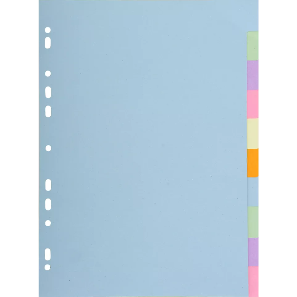 Intercalaires carte pastel 170g...