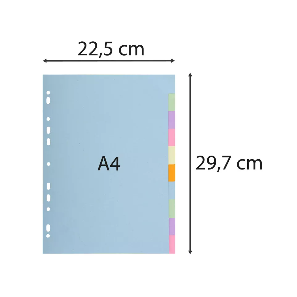 Div Forever Divider A4 170g 10P...