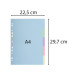 Div Forever Divider A4 170g 5P Pastel/ Pc.