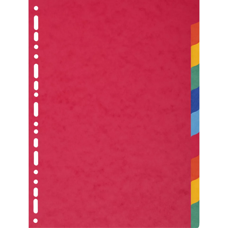 Intercalaires carte lustrée 225g 10...