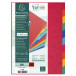 Tabbladen glanskarto-n 225g A4  10 tabs/ St.