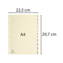 Indices 12 Pt Jan-Dec A4 Card Ivory/ Pc.