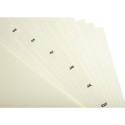 Indices 12 Pt Jan-Dec A4 Card Ivory/ Pc.