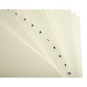 Tabbladen karton 155-g  20 tabs A-Z ivoor/ St.