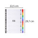 Indices A4 12Pt 1-12 Col Tabs White/ Pc.