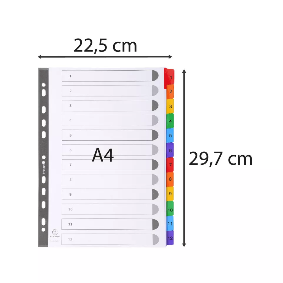 Indices A4 12Pt 1-12 Col Tabs White/ Pc.