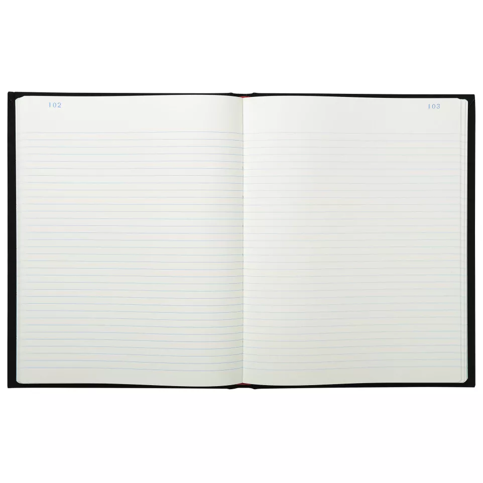 Account book paginated lined 300...