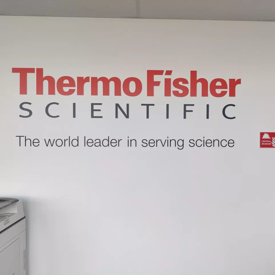 3D Raised Lettering and Logo