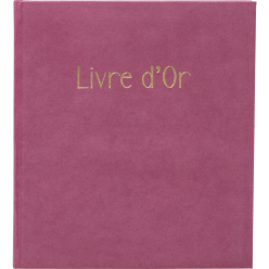 Gastenboek 100p gd 2-1x19...