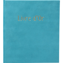 Gastenboek 100p gd 2-1x19...