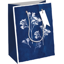 Cyanotype, EXC sac m-oyen...