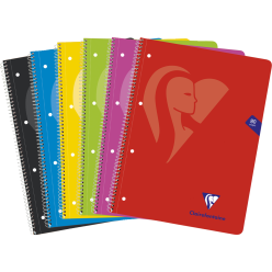 Cahier à spirale Mimesys...