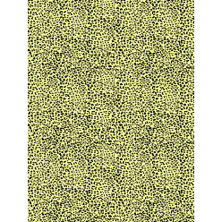 884 - Pochette 20 feuilles...