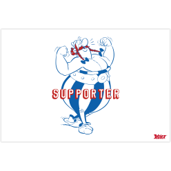 Ast5 onderlegger 60x40 cm-/ St.