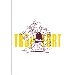 Ast5, Stapled nbk A5- 48sh...