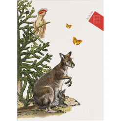 Animalis, To do list nbk...