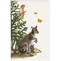 Animalis, Piqué 11x17 ligné...