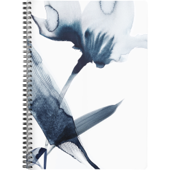 Inkebana, Cahier reliure...