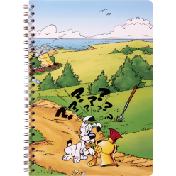 AST4 Idefix spir.schrift A5...