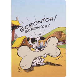 AST4 Idefix schrift A4 48bl...