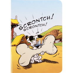 AST4 Idefix schrift A4 48bl...