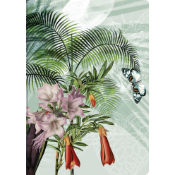 Jungle Harmony schri-ft A5...