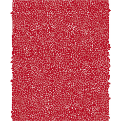 Décopatch 3 identiek-e...