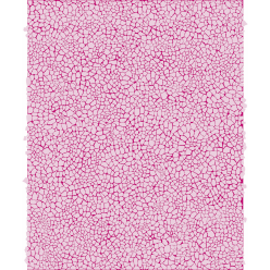 Décopatch Sheets pk3/ Pc.