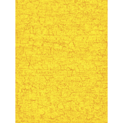 Décopatch 3 identiek-e...