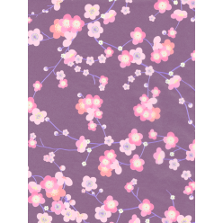 * 707 - Pochette 20...